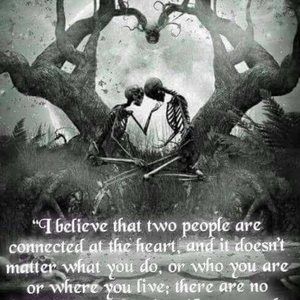 Meet your Posher, Carmen